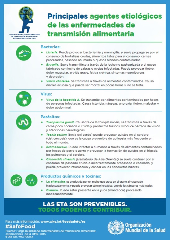 Principales agentes etiologicos de las enfermedades de transmision alimentaria