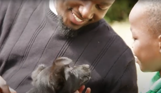 How to stay safe around dogs by Anthony thumbnail