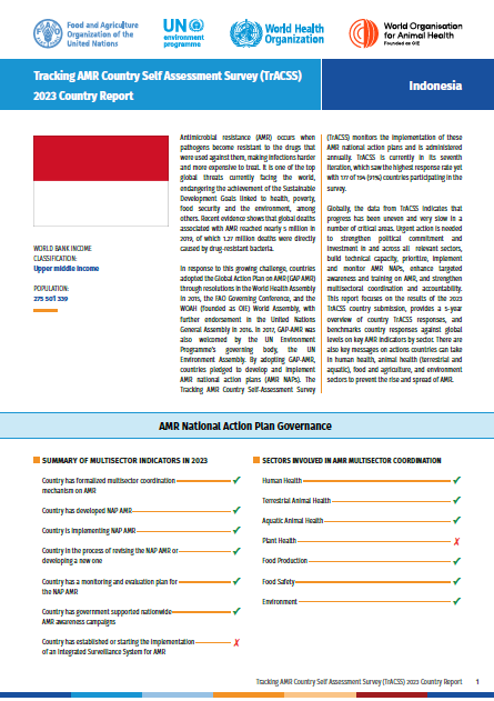 Tracking AMR Country Self Assessment Survey (TrACSS) 2023: Indonesia Country Report